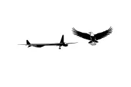 A plane and ist shadow, the German eagle, in flight tattoo design idea