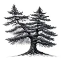 Douglas Fir Tree tattoo design idea