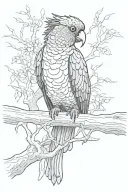 red tail Black cockatoo sitting on a dead tree branch tattoo design idea