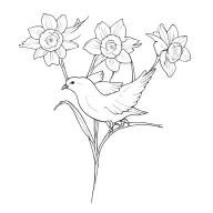Narcissus flowers with 3 doves  tattoo design idea