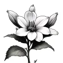 Milkweed tattoo design idea