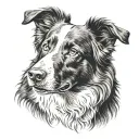 Border-Collie tattoo design idea