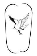 "Namakula came" Iwa Birds flying tattoo design idea