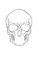 Without shadow effect it is to put on the between the pectorals a skull with an olroge on the skull below tattoo design idea