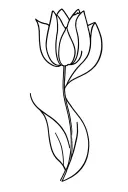 tulips leaves curved shape bending only fine line  tattoo design idea