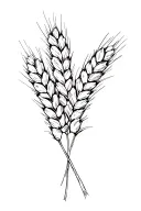 3 ears of wheat tattoo design idea