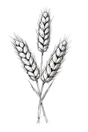 3 ears of wheat tattoo design idea