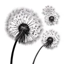 dandelion turning into snowflakes tattoo design idea