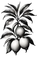 lemon tree branch tattoo design idea