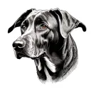 Weimaraner Dog tattoo design idea