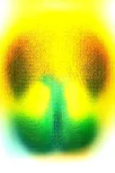 TREE OF LIFE WITH JAPANESE SUN IN THE CORNER tattoo design idea