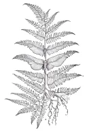 fern  and moth sleeve tattoo design idea