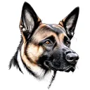 Belgian Malinois tattoo design idea