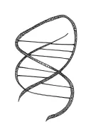 Fibonacci-Spiral, DNA double helix, Atom symbol, formula eulers identity, formula diracs equation, bending spacetime tattoo design idea