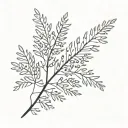 mimosa tattoo design idea