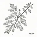 mimosa tattoo design idea