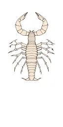 Scorpion zodiac sign tattoo design idea