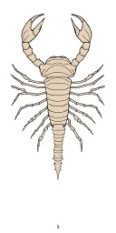 Scorpion zodiac sign tattoo design idea