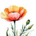 california poppy flower tattoo design idea