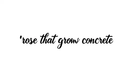 "rose that grew from concrete" tattoo design idea