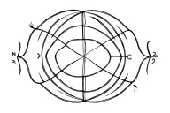 fractal equation forming tattoo design idea