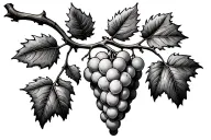 Matthew 28:20 carved into the grape branch with three vines coming off tattoo design idea