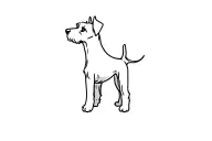 mini schnauzer tattoo design idea