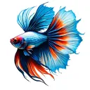 betta fish transforming tattoo design idea