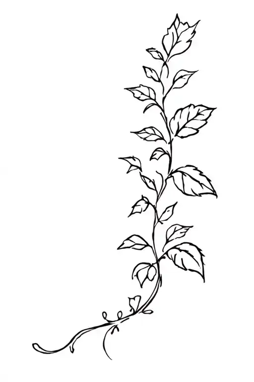 Vine tattoo design idea