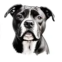Staffy tattoo design idea
