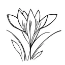 Crocus tattoo design idea