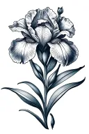iris flower tattoo design idea