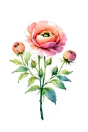 Ranunculus tattoo design idea