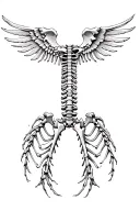 spinal cord bones with fractured wing bones tattoo design idea