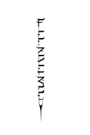 word 'Fatality' written vertically tattoo design idea