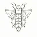cicada shell empty tattoo design idea
