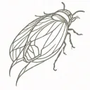 cicada shell empty tattoo design idea