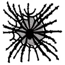 Spider Web Knee tattoo design idea