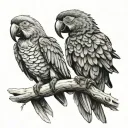 macaw tattoo design idea