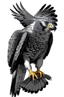 peregrine falcon diving tattoo design idea