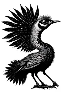Lyrebird tattoo design idea