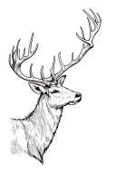 fine line Scottish stag tattoo design idea