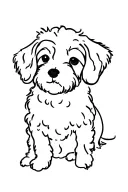cockapoo dog tattoo design idea