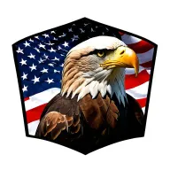 Bald Eagle and the American Flag tattoo design idea