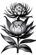 protea and Grace tattoo design idea
