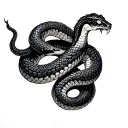 snake wrapped around my wrist with a spider head profile holding tattoo design idea