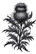 thistle tattoo design idea