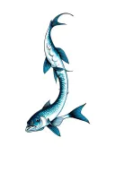 snook realism ocean tattoo design idea