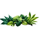 rainforest plants tattoo design idea