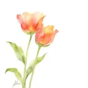 1 Peter 5 7 tattoo design idea